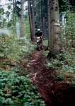 Jezdec v lese na neschválené trati u Smržovky